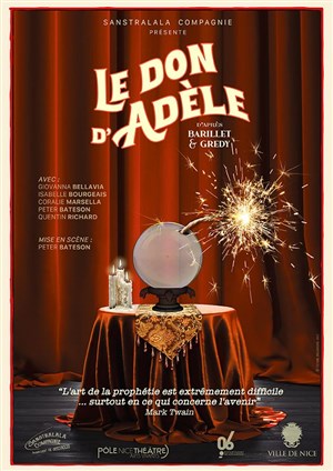 Affiche de Le don d'Adèle