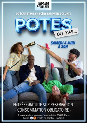 Affiche de Potes ou pas...