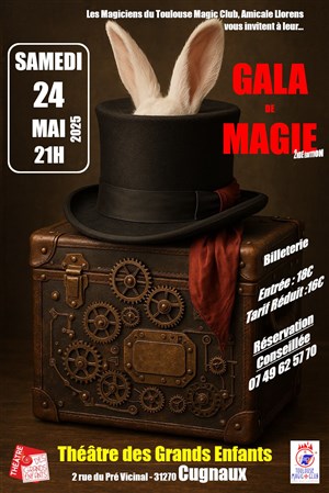 Affiche de Gala de magie 2025