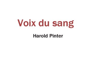 Affiche de Voix du sang & Une sorte d'Alaska
