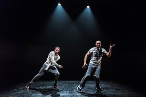 Affiche de Shapeshifting / Dans l'arène