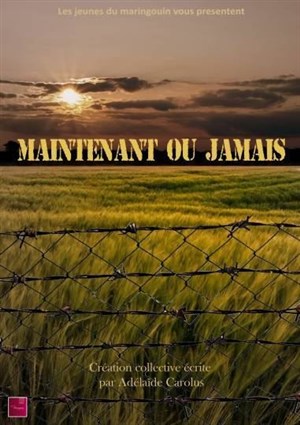 Affiche de Maintenant ou jamais