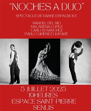 Affiche de Noches à duo