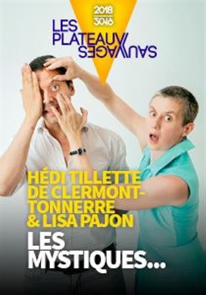 Affiche de Les mystiques ou comment j'ai mon ordinateur entre Niort et Poitiers