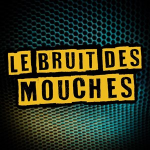 Affiche de Le bruit des mouches