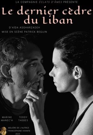 Affiche de Le dernier cèdre du Liban
