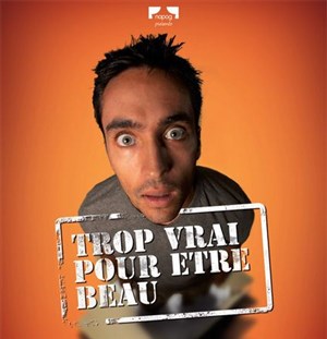Affiche de Nicolas Van Beveren dans Trop vrai pour être beau