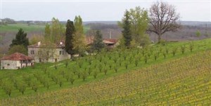 Affiche de Visite guidée : Les coteaux du Quercy