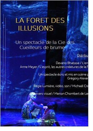 Affiche de La forêt des illusions