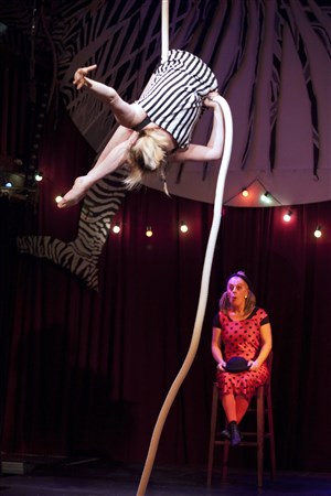 Affiche de Les Z'ateliers Zèbre : Tu fais du cirque ? Moi aussi !