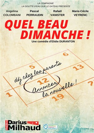 Affiche de Quel beau dimanche !
