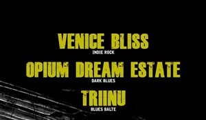 Affiche de Opium Dream Estate + Venice Bliss | + 1ère partie : Triinu