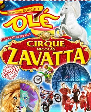 Affiche de Cirque Nicolas Zavatta Douchet | Tours
