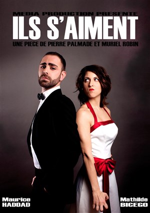 Affiche de Ils s'aiment