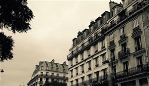 Affiche de Visite guidée : Haussmann et Paris | Par Jean-François Guillot