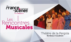 Affiche de Une soirée chez Strauss