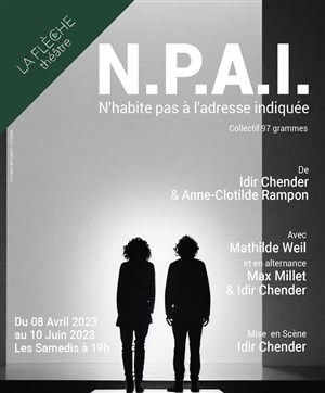 Affiche de N.P.A.I.