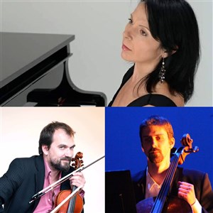 Affiche de Trio de concert instrumental