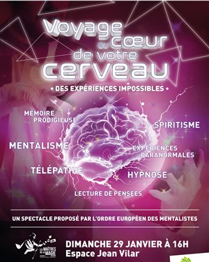 Affiche de Les maîtres de la magie : Voyage au coeur de votre cerveau