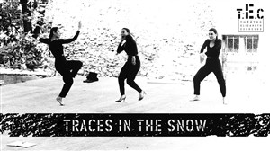 Affiche de Traces in the snow