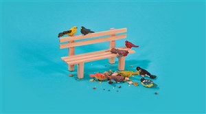 Affiche de Suzanne aux oiseaux