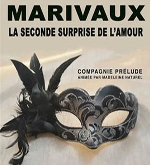 Affiche de La seconde surprise de l'amour