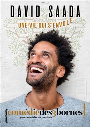 Affiche de David Saada dans Une vie qui s'envole