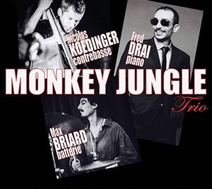 Affiche de Monkey Jungle Trio