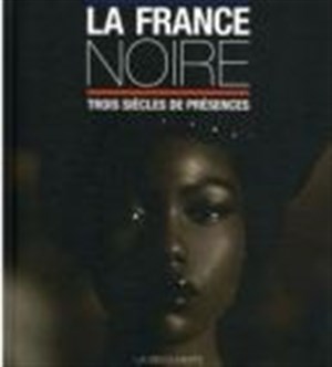 Affiche de La France noire en questions