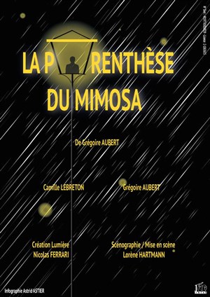 Affiche de La parenthèse du mimosa