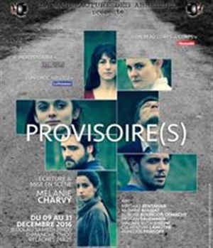 Affiche de Provisoire(s)