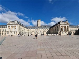 Affiche de Visite guidée : Dijon | par Mylène Gault