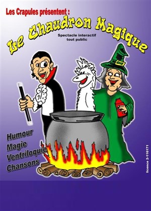 Affiche de Le chaudron magique