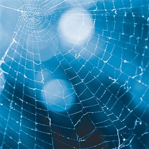 Affiche de Le Roi se meurt