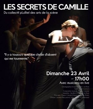 Affiche de Les secrets de Camille