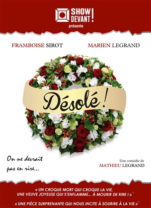 Affiche de Désolé !