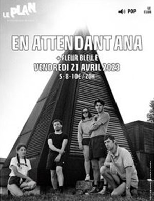 Affiche de En attendant Ana + Fleur Bleu.E
