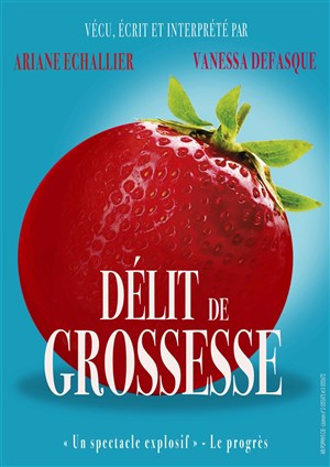 Affiche de Délit de grossesse