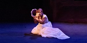 Affiche de Le voyage d'Ulysse