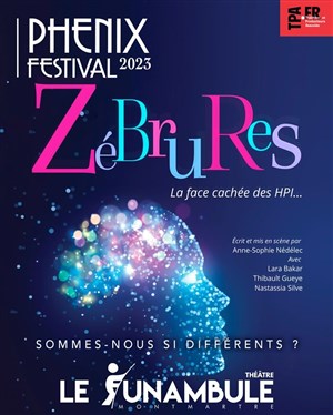 Affiche de Zébrures