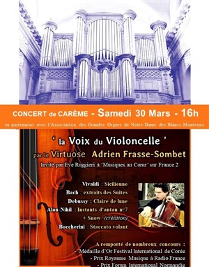 Affiche de la Voix du Violoncelle