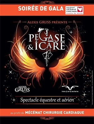 Affiche de Gala Caritatif | Pégase & Icare | par Alexis Gruss