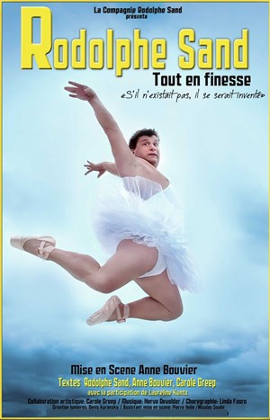 Affiche de Rodolphe Sand dans Tout en Finesse