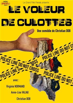 Affiche de Le voleur de culottes