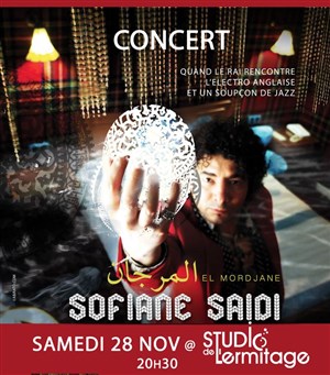 Affiche de Sofiane Saidi