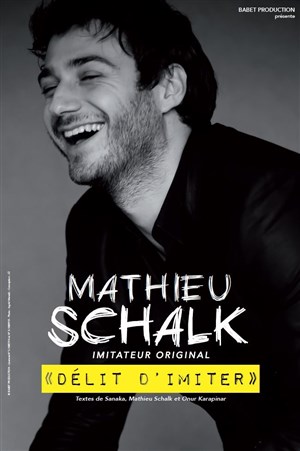 Affiche de Mathieu Schalk dans Délit d'imiter