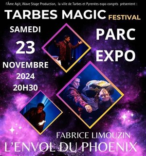 Affiche de Fabrice Limouzin dans L'Envol du Phoenix