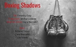 Affiche de Boxing Shadows