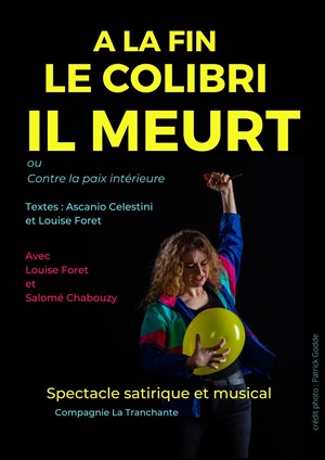 Affiche de A la fin le colibri il meurt