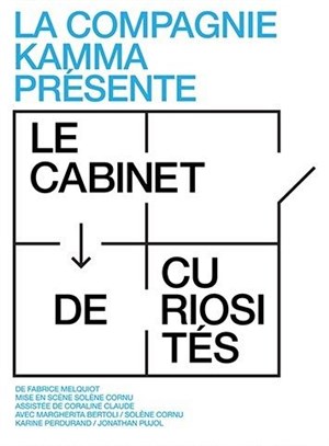 Affiche de Le cabinet des curiosités